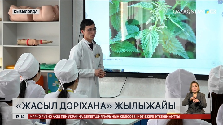 Қызылорда колледжі жасыл дәріхана жобасын бастады