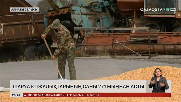 Сарапшы: Ауыл экономикасын көтеру – ел дамуының негізі