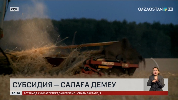 Субсидия – салаға демеу