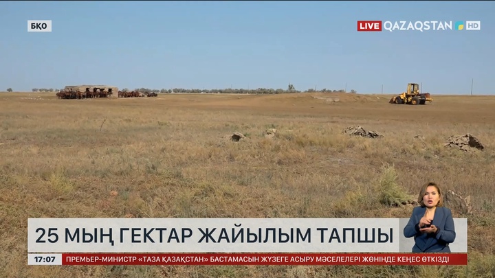 БҚО-да 25 мың гектар жайылым тапшы   