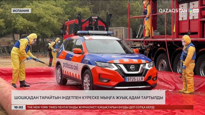 Испанияда шошқадан тарайтын індетпен күреске мыңға жуық адам тартылды