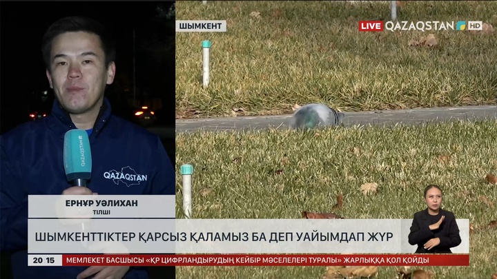 Қыстың он күні өтсе де, Шымкентте қысқа тән көрініс байқалмайды