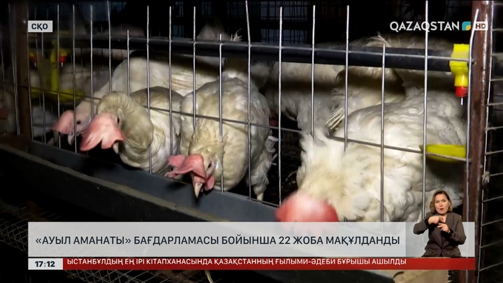  СҚО-да «Ауыл аманаты» бағдарламасы жүзеге асырылуда