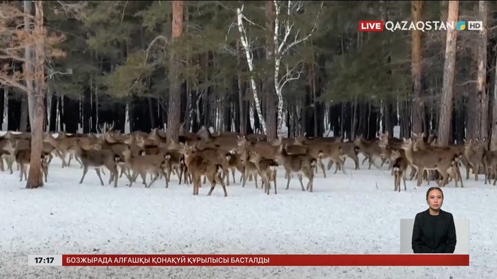  «Көкшетау» ұлттық паркінде жабайы жануарлар саны бір жылда 20 пайызға көбейген