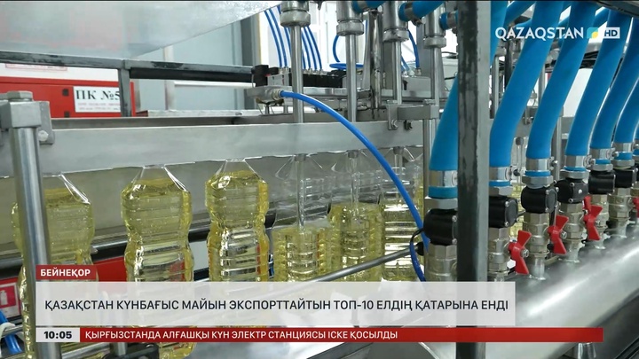 Қазақстан күнбағыс майын экспорттайтын топ-10 елдің қатарына кірді