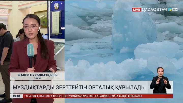 Сенат дәрігерлерді қорғайтын заңды мақұлдады