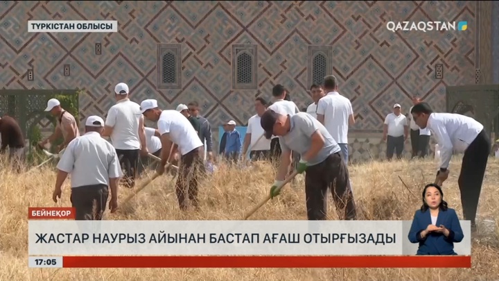 Түркістан облысының жастары наурыздан бастап ағаш еге бастайды