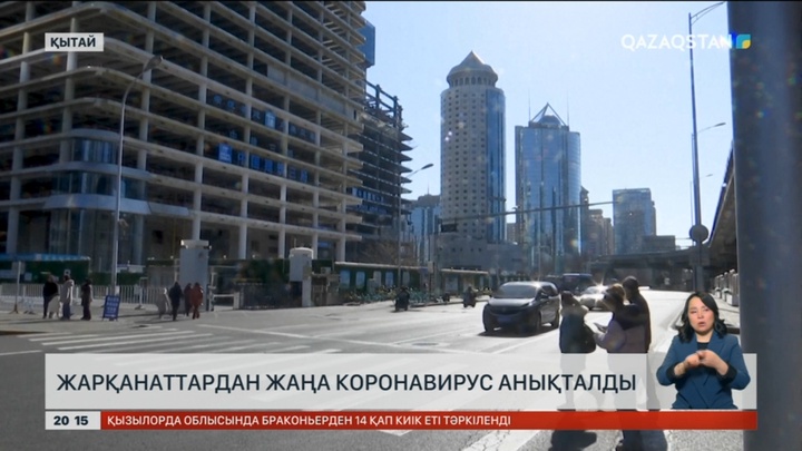 Қытайда жарқанаттардан жаңа коронавирус анықталды