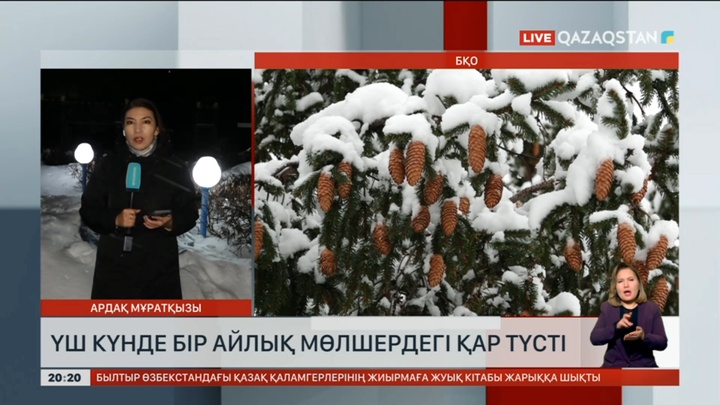Оралда 3 күнде бір айлық мөлшердегі қар түсті