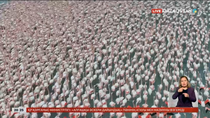 Маңғыстауда жасанды көлді 30 мыңға жуық құс мекендейді