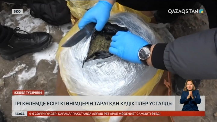 БҚО-да ірі көлемде есірткі таратқандар ұсталды