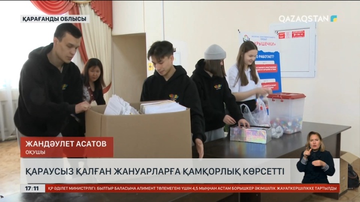 Қарағандыда еріктілер қараусыз қалған жануарларға қамқорлық көрсетті