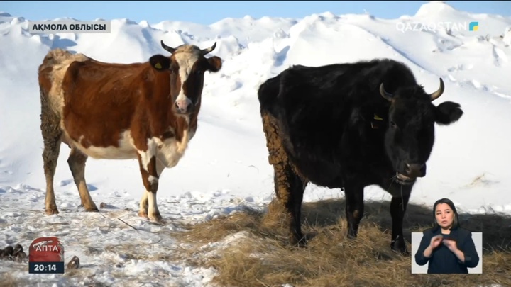 Жеңілдікпен берілетін несие: Шаруалардың жанайқайы