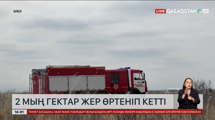 ШҚО Зайсан ауданында 2 мың га жер өртеніп кетті