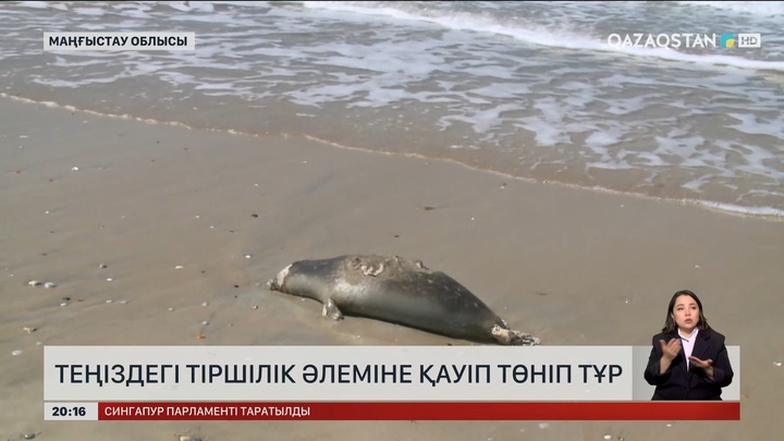 Теңіздегі тіршілік әлеміне қауіп төніп тұр