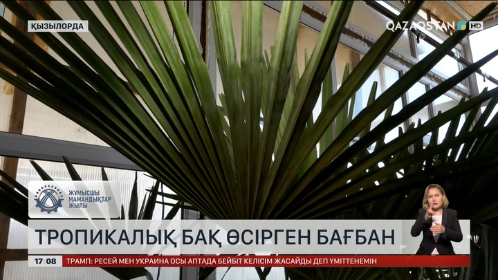 Тропикалық бағы бар бағбан Қызылордада тұрады