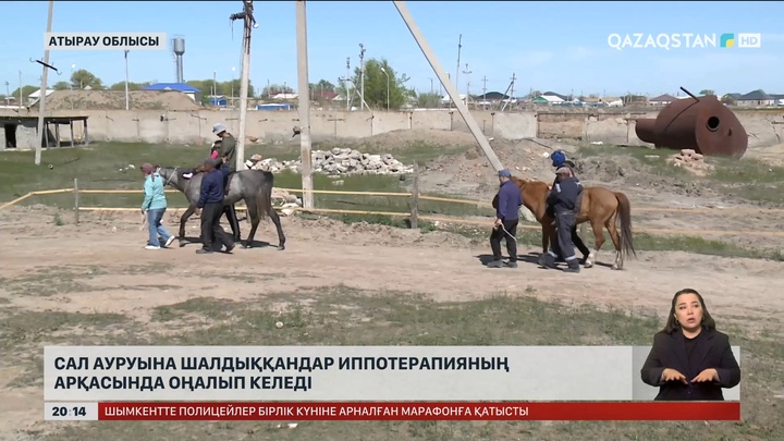 Сал ауруына шалдыққандар иппотерапияның арқасында оңалып келеді