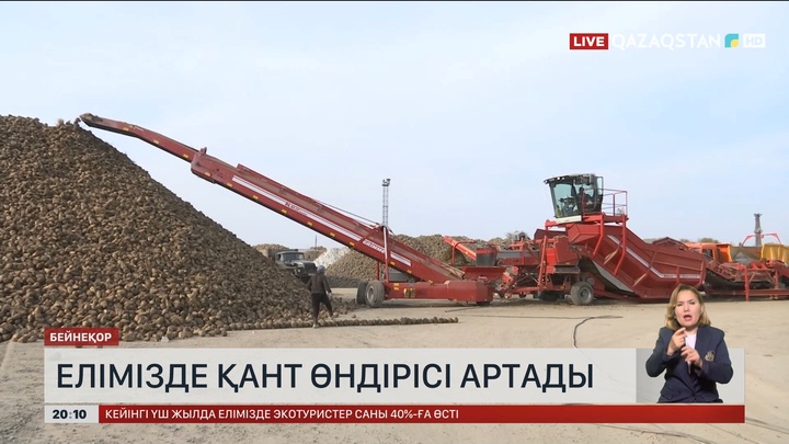 Елімізде қант өндірісі артады