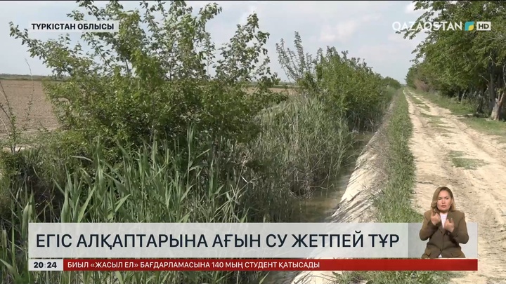 Түркістан облысында егіс алқаптарына ағын су жетпей тұр