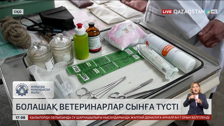 СҚО-да болашақ ветеринарлар сынға түсті