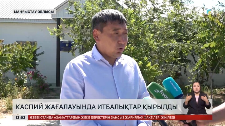 Каспий теңізі жағасынан итбалықтардың өлексесі табылды