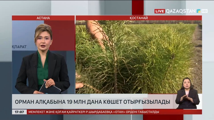 Қостанай облысында 19 млн көшет егетін болды