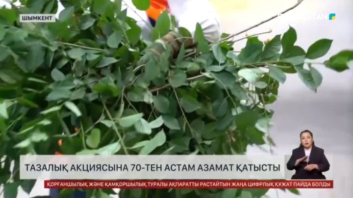 Семей мен Шымкент қаласында «Таза Қазақстан» шарасы өтті