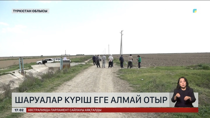 Түркістан облысында шаруалар күріш еге алмай отыр