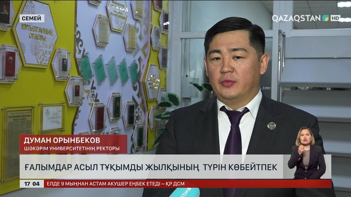 Ғалымдар асыл тұқымды жылқы түрін көбейтпек