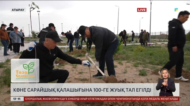 Көне Сарайшық қалашығына жүзге жуық тал екті