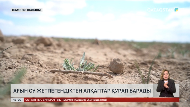 Жамбыл облысының диқандары су тапшылығының зардабын тартып отыр