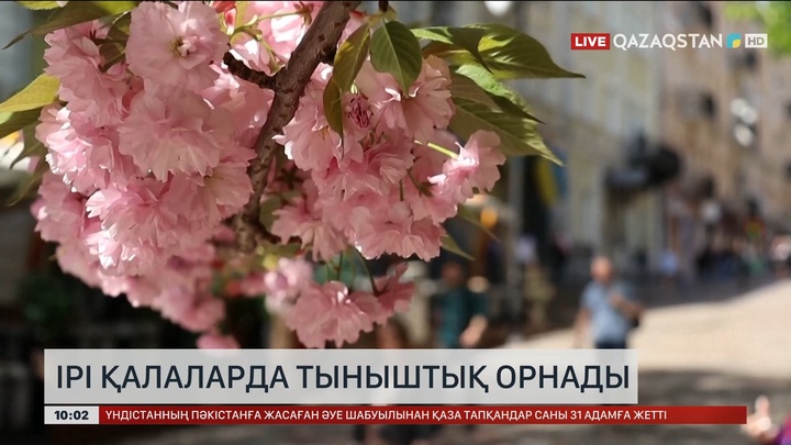 Украинаның ірі қалаларында тыныштық орнады