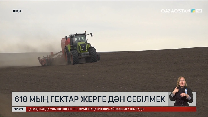 ШҚО-да 618 мың гектар жерге дән егіледі