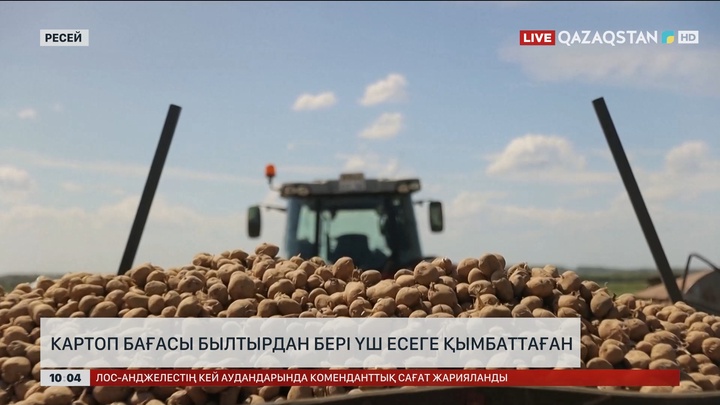 Ресейде картоп бағасы 3 есеге қымбаттаған