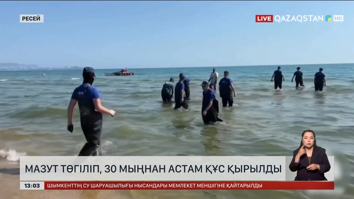 Қара теңізге ресейлік мазут төгілді