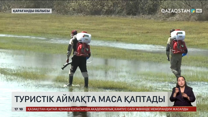 Балқаш қаласында маса қаптап кетті