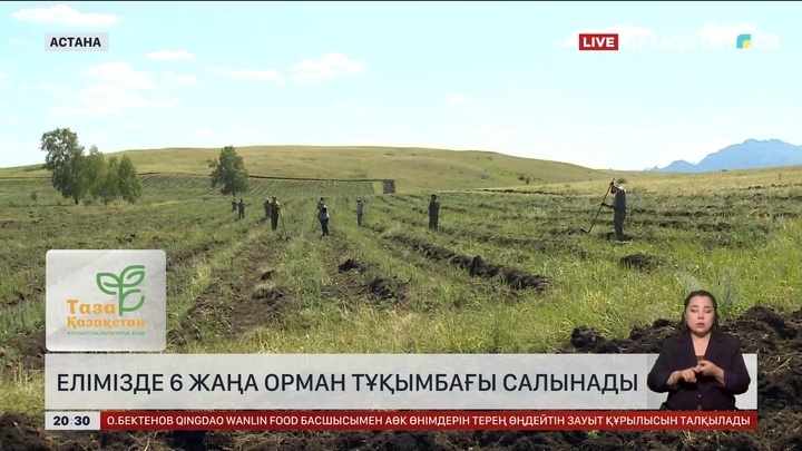 Елімізде 6 жаңа орман тұқымбағы салынады