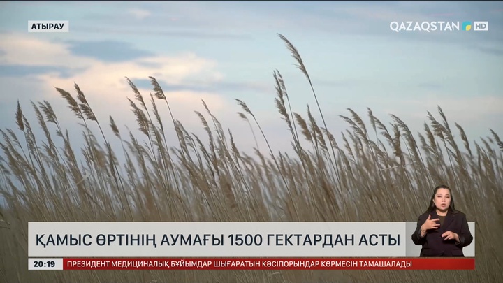 Атырауда қамыс өртінің аумағы 1500 гектардан асты