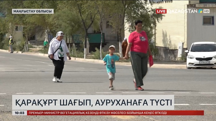 Маңғыстауда Бейнеу ауданының тұрғынын қарақұрт шақты