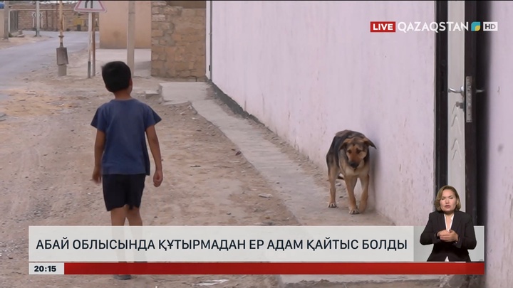 Абай облысында құтырмадан ер адам қайтыс болды