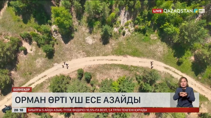 Елімізде орман өрті үш есе азайды