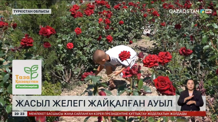 Түркістан облысында жасыл желегі жайқалған ауыл бар