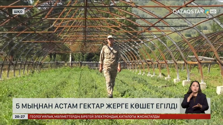 ШҚО-да 5 мың гектардан аса жерге көшет егілген