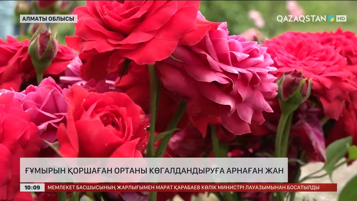 Ғұмырын қоршаған ортаны көгалдандыруға арнаған жан