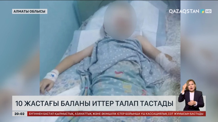 Алматы облысында 10 жастағы баланы қабаған иттер талап тастады