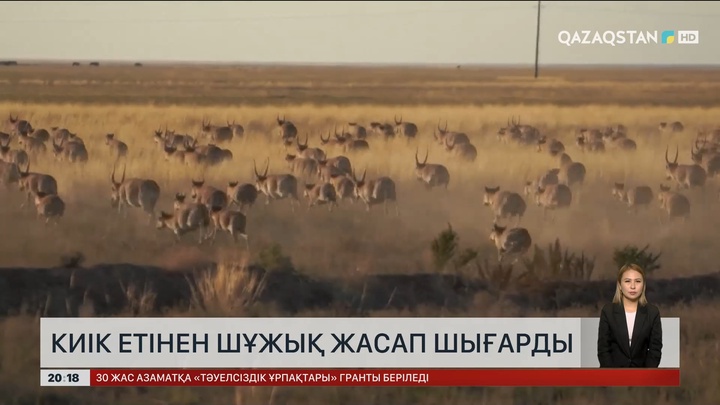 БҚО-да киік етінен шұжық жасап шығарды