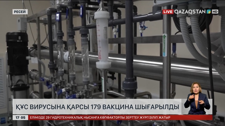 Ресейде құс вирусына қарсы 179 вакцина шығарылды