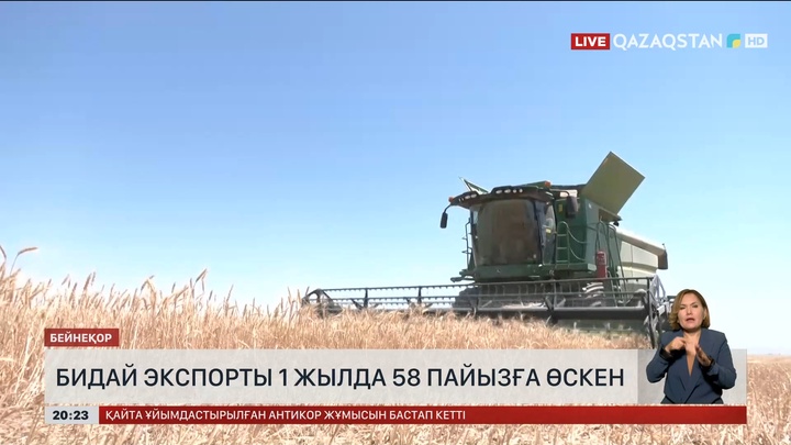 Қазақстанда бидай экспорты бір жылда 58%-ға өскен