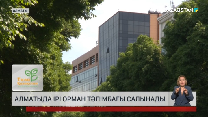 Алматыда ірі орман тәлімбағы салынады