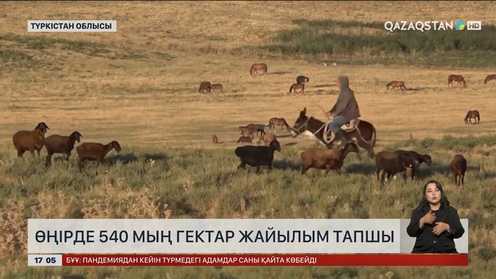 Түркістан облысында 540 мың гектар жайылым тапшы